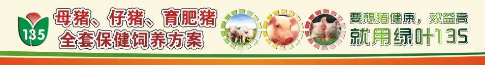 绿叶135保健养猪饲养方案