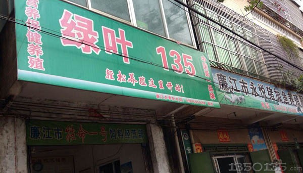 广东省廉江市保健养猪专卖店