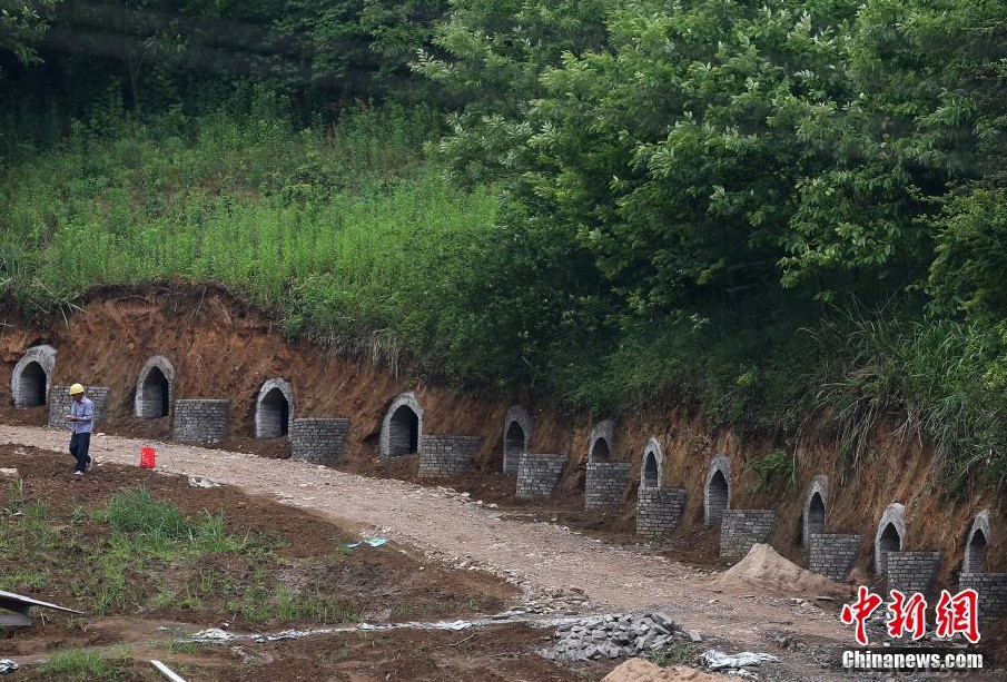 图为当地村民在建设猪洞穴