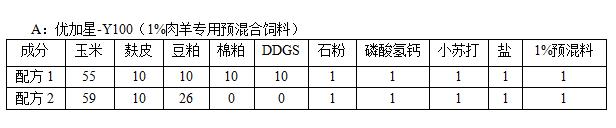 ޹ʼʩ