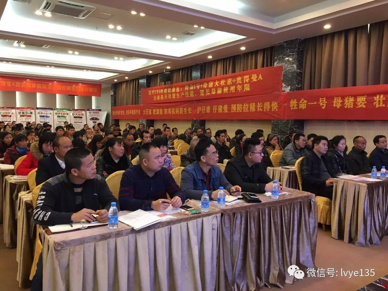 135高效保健养猪技术研讨会广西桂林站